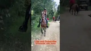 Beautiful girl riding horse in leather pants ❤️ Subscribe for more ❤️
