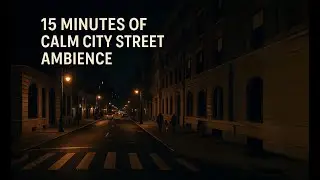 15 Minutes of City Street at Night 🌃 | Ambient Urban Sounds with Footsteps, Dogs & Distant Traffic
