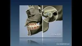 DentalArt3D. Introduction to Neuromuscular Dentistry