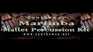 Virtual Mallet Percussion Marimba, Xylophone, Vibraphone -Vibes, Vibraharp- VST Plugins Software