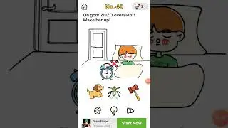 brain out level 40 solution