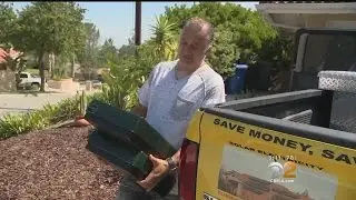 After The Fire, Relief And Gratitude In Calabasas