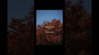 [OM System] Olympus Pen E-P7 - unedited sample images