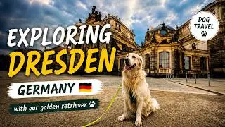 Dog Walk | Moody Fall Walk in Dresden&rsquo;s Streets 🍂