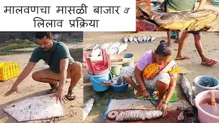 मालवणचा मासळी बाजार व लिलाव प्रक्रिया | Malvan fish market