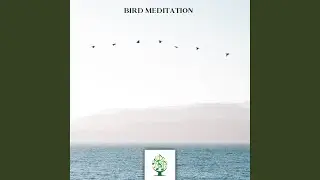 Bird Meditation