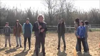 comment bien communiquer avec son cheval