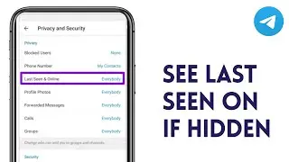 How to See Last Seen on Telegram if Hidden