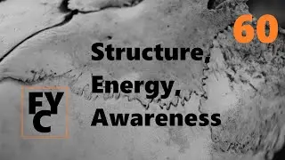 Structure, Energy, Awareness // FORREST YOGA CHICAGO [60 min.]
