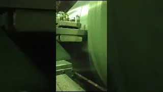 31 июля 2024 г.