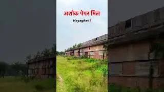 Yah Ashok paper mill hayaghat #darbhanga #bihar #pmmodi #minivlog #viralvideo #shorts