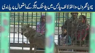 Plastic Bags Banned in Zoo & Wildlife parks | Lahore News HD