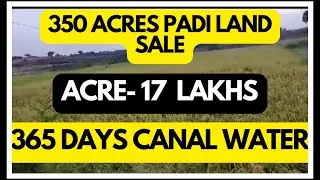 350 Acres land Padi land sale Ballary district Karnataka India