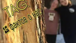 TAG:15 ФАКТОВ О НАС || SWEET SHOW