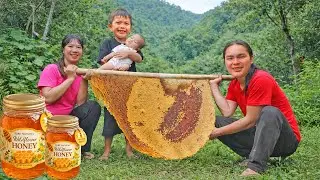 Harvesting Giant Beehives – The Process of Producing Natural Honey for Market Sale | SURVIVAL ALONE
