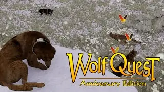 2025 WQAE - how to ez kill mate in wq very effective 100% work NO fail easy
