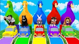 Long Slide Game With Cow Elephant Gorilla Hippopotamus Tiger - 3d Animal Game - Funny 3d Animals