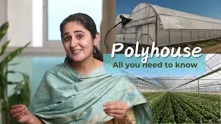 Polyhouses, why are we building so many of them? | Ep. 7