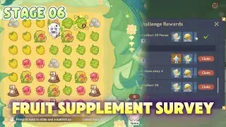 Fruit Supplement Survey Stage 06 | Genshin Impact