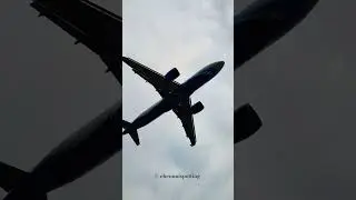 Indigo flight landing at Chennai airport closeup view 😍 #chennaispotting #chennaiairport #aviation