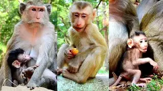 Cute Julina mum takes care her sweet baby with full milk and go walking on tree.