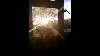The majestic sunset