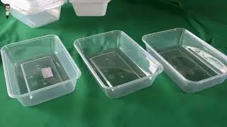 Reusable microwavable PP plastc take away food container manufacturer