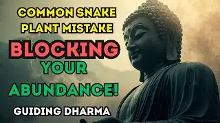 This Common Snake Plant Mistake Is BLOCKING Your Abundance (Fix It Now!) | Guiding Dharma