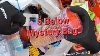 Dumpster diving at 5 below. Found a grab bag !!