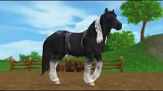 Star Stable Spoilers: FREE 10th Anniversary Horse + 3. Generation American Paint Horses