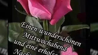 Ein kleiner Mittwoch Abend Gruss von mir an dich💋❤️ und schlaf sp&auml;ter gut