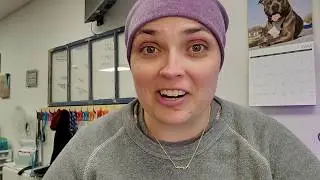 PSA: Support your local dog sitters!