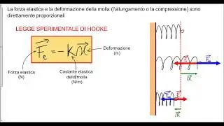 La forza elastica