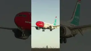 Boeing 737-8 MAX Norwegian Airlines Landing at Bucharest LROP ✈️ | MSFS 2024
