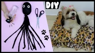 DIY PETs 🐾 🐶 Caminha, Brinquedo, Educador de Xixi e +
