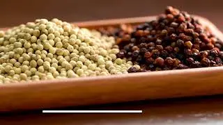 Vietnamese Food Industry: PEPPER