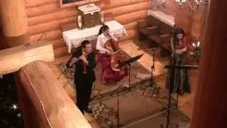 Sailing (Rod Stewart, G. Sutherland) on viola, cello and flute (Trio Animando)