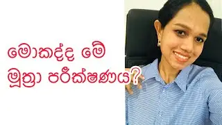 මූත්‍රා පරීක්ෂණය ගැන හැමදේම සින්හලෙන්| urine full report| ufr
