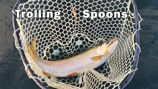 Trolling Gibbs Kitimat 45 Spoons for Rainbows