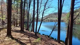 Exploring Mount Toby State Forest