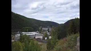 Брянка