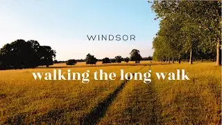 An Afternoon In Windsor