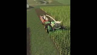 Crazy Forage harvesters 😱😱 | #fs19 #fs20mehkma #farming