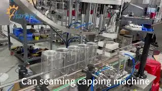 Automatic Can Seaming Capping Machine for Plastic Container, Can Sealing Machine for plastic bottle
