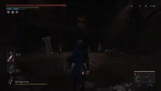 Lies of P_Bunny Gank NG+