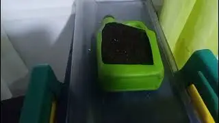 WhatsApp Video 2026 01 14 at 17 32 00