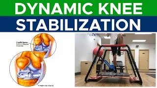 ACL Reconstruction | Improving Dynamic Knee Stability | Part 13