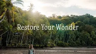 Restore your wonder