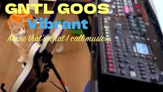 GNTL GOOS | Vibrant | Live Performance