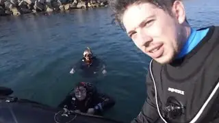 Learning to Dive 🤿 | Hat Films Clips